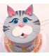 gâteau anniversaire enfant thème animaux chat aristocrate film disney