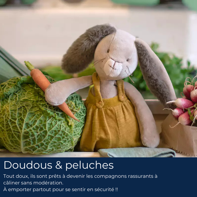 2Doudous & peluche.png